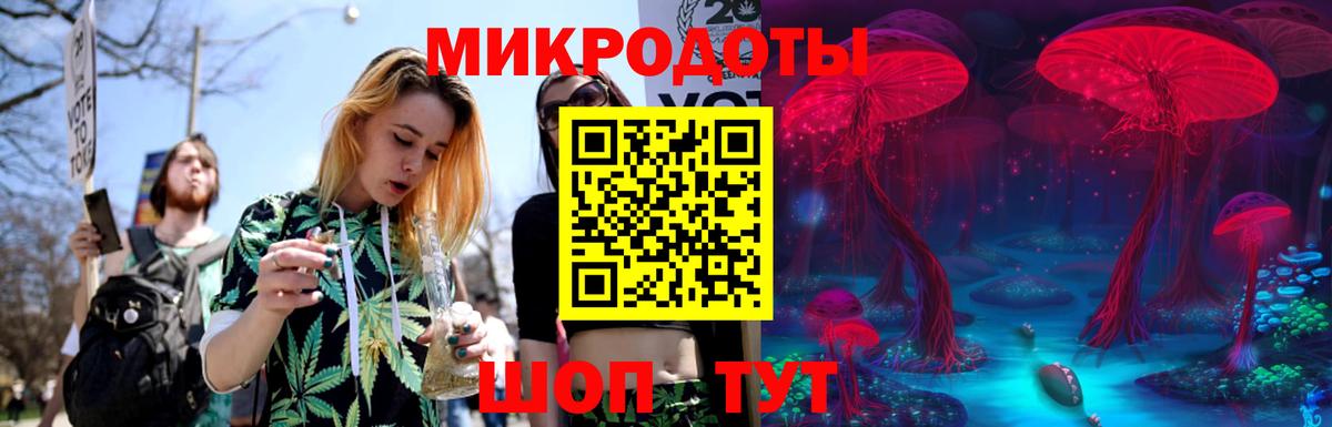 Галлюциногенные грибы Cubensis  Псилоцибиновые грибы мицелий  Унеча  Вход с VPN 